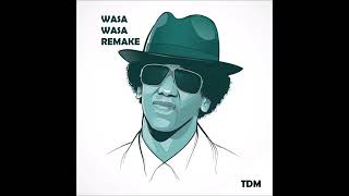 Tego Calderon  Wasa Wasa  Instrumental [upl. by Ilysa]