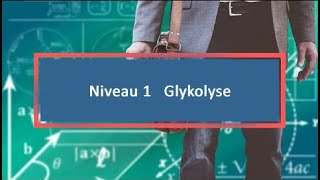 Niveau 1 Glykolyse [upl. by Gorton595]