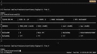 Dynamic Allocator Misuse  CSE466  Robert  20241008 [upl. by Lseil]