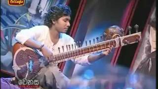 Pera Dinayaka Ma amp Obe Namin sitar amp Dilruba [upl. by Ilenna]