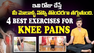 4 Knee Pain Relief Stretches amp Exercises  Blood circulation increase  Maharishi Yoga Centre [upl. by Aisats]