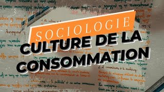 sociologie  Société de consommation [upl. by Iturk254]