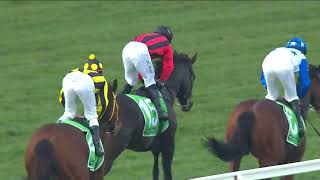 THE ROUGHIE SIR FREDDIE TAKES THE TAB HIGHWAY AT RANDWICK [upl. by Dalohcin]