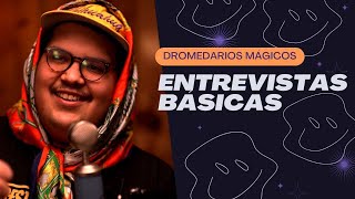 ENTREVISTAS BÁSICAS PRESENTA DROMEDARIOS MÁGICOS [upl. by Ainehs158]