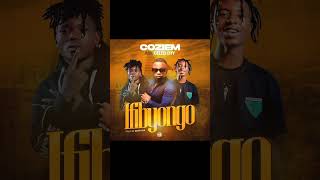 COZIEM FT CELEB CITY  Ifibyongo [upl. by Coppinger]