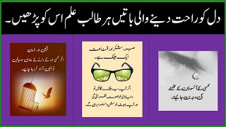 Islamic Video  Islamic Quotes  Golden Words in Urdu  Golden Words About Life Success Quotes [upl. by Htims912]