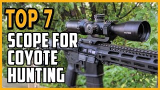 Best Scope For Coyote Hunting  7 Best Budget Brands Scope Reviews For Coyote Hunting [upl. by Tsyhtema886]