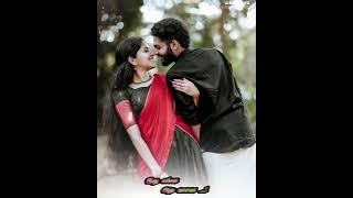 kurinji poo kadhava vijayakanth spbsongs sujathamohan lovestatus lovesong tamilstatus [upl. by Emerson502]