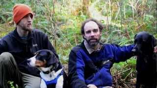 Truffle Hunting Dogs in Oregon [upl. by Nosreg]