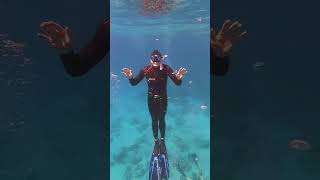 Snorkeling and free diving in Eilat September 2024 [upl. by Eellac]