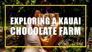 Touring A Chocolate Farm In Kauai [upl. by Nhaj]