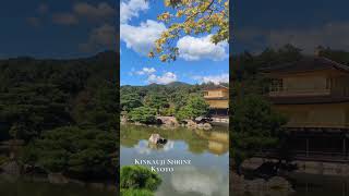 Kinkakuji Shrine Kyoto japan endlessdiscovery [upl. by Buddie541]