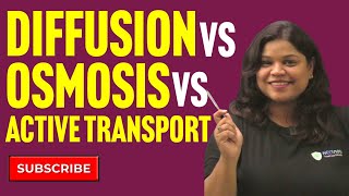 Diffusion Osmosis and Active Transport Key Differences Explained [upl. by Ayahs]