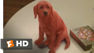 Clifford the Big Red Dog 2021  Clifford Comes Home Scene 110  Movieclips [upl. by Inatsed608]