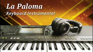 La Paloma  Latin Instrumental  Yamaha PSRSX900 Keyboard [upl. by Michell954]