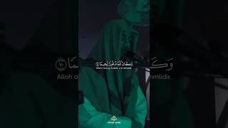 Tilawatequran tilawatequran quran imam muslim ☪️️subscribe 1millionviews 1million 1ksubs1k [upl. by Timothee529]