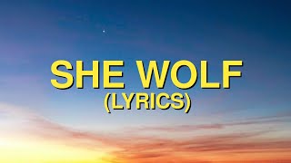 David Guetta ft Sia  She Wolf Lyrics [upl. by Ligriv505]