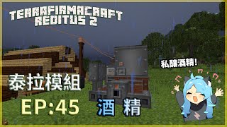 【Minecraft模組生存】TFC生存 EP45發酵機勤洗手多消毒製造酒精燒病毒💥 [upl. by Aysan]