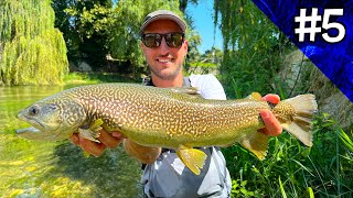 Pesca GROSSA in Fiume di Risorgiva Trote Marmorate e NUOVA Specie Spinfly a Vista e Spinning 5 [upl. by Assele]