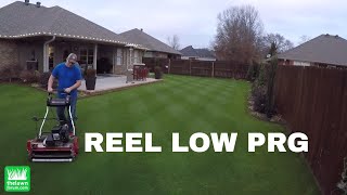 Reel Low Perennial Ryegrass  Dec 20 2017 [upl. by Aiuqcaj]