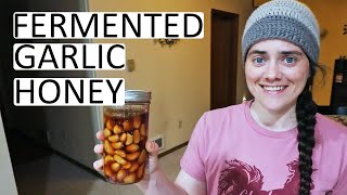 Fermenting Honey Garlic  A Tasty Immune System Aid  Fermented Homestead [upl. by Elleirol363]