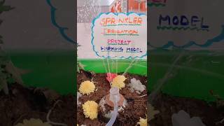 Sprinkler Irrigation👏🧿project workingmodel science agriculture music edmshorts subscribe [upl. by Ratcliffe]