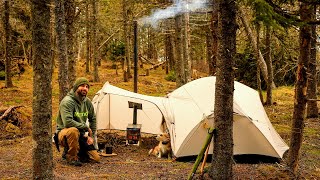 Hot Tent Camping In The Forest [upl. by Eric]