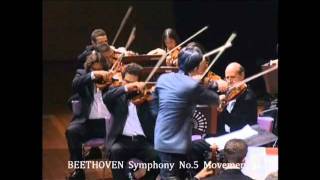 Beethoven Symphony No5 Movement 1  Highlight [upl. by Rabelais]