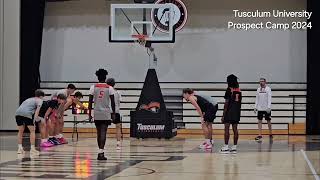 Tusculum University Prospect Camp 2024 Clips [upl. by Craw]