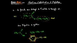 Réactions dEstérification et dHydrolyse cours 6 [upl. by Peirce]