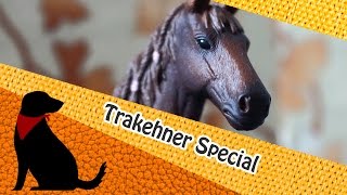 SONDERMODELL Trakehner Stute 2015 HD [upl. by Aniela739]