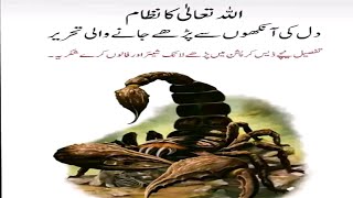 Urdu Story  بچھو نے سانپ کو کیوں ماراHow Allah Protect Us [upl. by Yekcir]