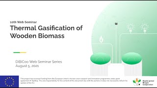 10th Webinar Series Thermal Gasification of Wooden Biomass [upl. by Nerdna488]