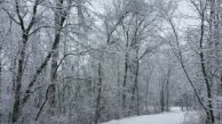 IS SNOW COMEING THIS YEAR OR NOT IN MICHIGAN LIVE 2024 [upl. by Vitalis]