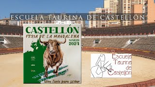 ESCUELA TAURINA DE CASTELLÓN EN LA MAGDALENA 2024 VAREA [upl. by Valorie67]