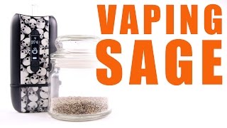 Vaping Sage in Your Ascent Vaporizer  You Can Vape What [upl. by Anerev]