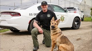 Inside CDCR K9 teams patrol state prisons [upl. by Nodab484]