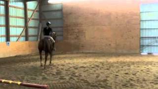 FIRST CANTER BEST RIDE EVER  GORPRO RIDE WITH ME [upl. by Bohannon]