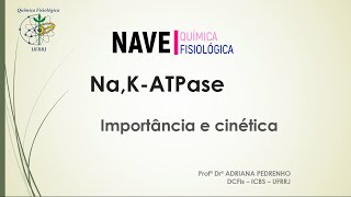 NAK ATPase  Cinética e Importância [upl. by Hgielime47]