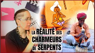 Charmeurs de serpents  PRATIQUE SOMBRE ET CRUELLE [upl. by Klecka821]