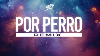 POR PERRO Remix  SEBASTIAN YATRA LUIS FIGUEROA LARY OVER  Braian Leiva [upl. by Ilamad]