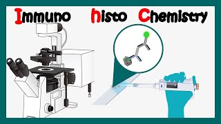 Immunohistochemistry  How to perform immunohistochemistry  application of immunohistochemistry [upl. by Aehtrod]