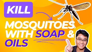 Naturally Kill Mosquitoes with Soap amp Essential Oils [upl. by Jempty]