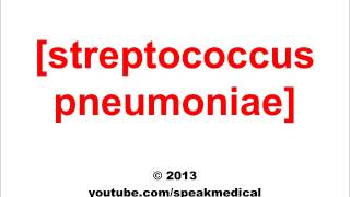 Pronounce Streptococcus Pneumoniae  SpeakMedical [upl. by Imojean433]