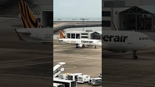 Tigerair Taiwan 07 Apr 2024 Taichung RMQ Macau MFM IT371 Mini Fun Land [upl. by Mateusz]