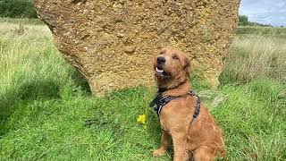 The Devils Quoits  Ducklington  west Oxfordshire great dog walk Toby loves it  older than SH [upl. by Anitan]