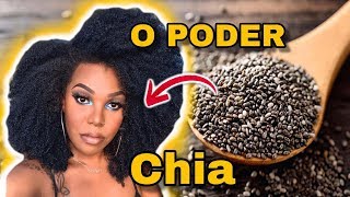 RECUPERE SEU CABELO RESSECADO em 30 minutos  HIDRATAÇÃO DE CHIA  por luany cristina [upl. by Ogata]