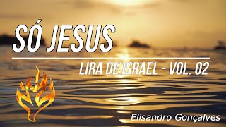 Só Jesus  Álbum Lira de Israel  Vol 02 [upl. by Pauly]