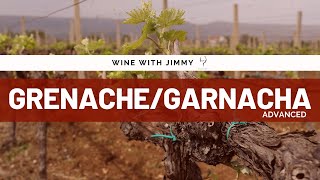 Grape Varieties GarnachaGrenacheCannonau Advanced Version for WSET L3 and 4 [upl. by Leanne]