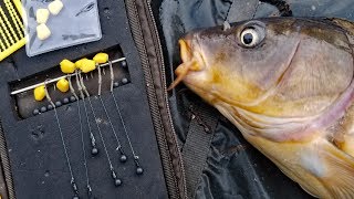 My favorite carp rig How to tie a hair rig and method lead Best Carp fishing rig [upl. by Akilam]